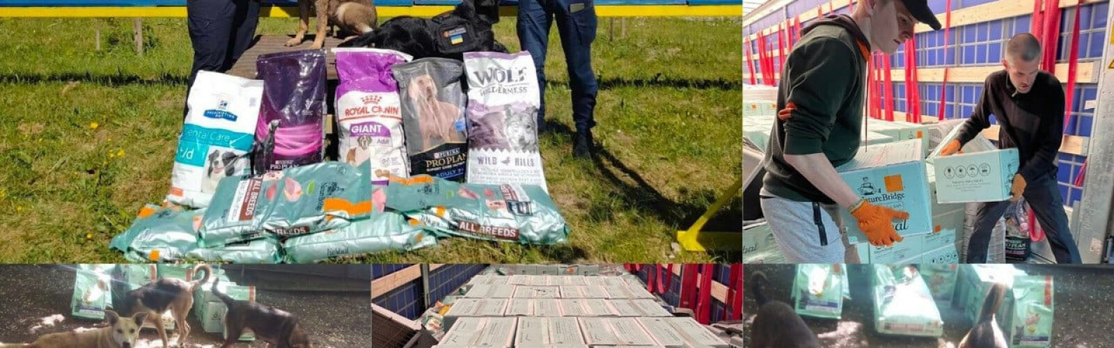 Podilska Hromada Community Foundation continues to receive and transfer animal feed to organizations that care for them