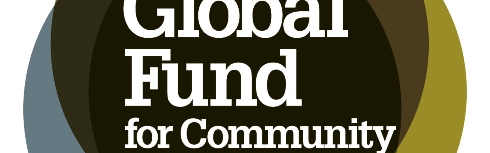 National Network of Local Philanthropy Development has started cooperation with the Global Fund for Public Funds (GFC)