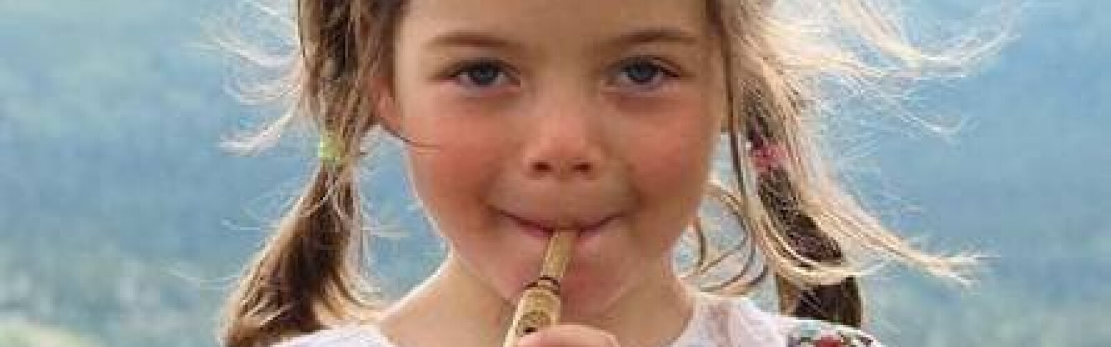 The Kharkiv Community Fund "Toloka" organized a collection of musical instruments
