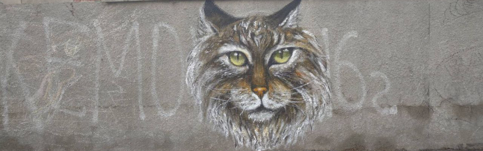 MBI Voznesenskaya teaches young people to paint murals