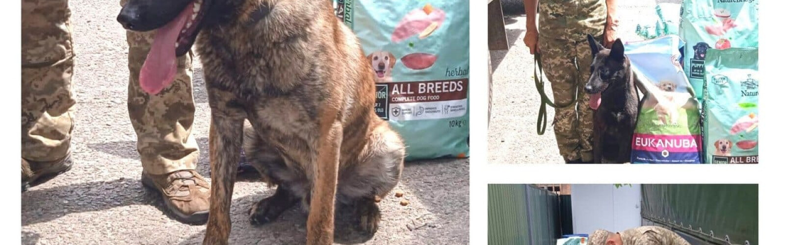 Food for four-legged defenders