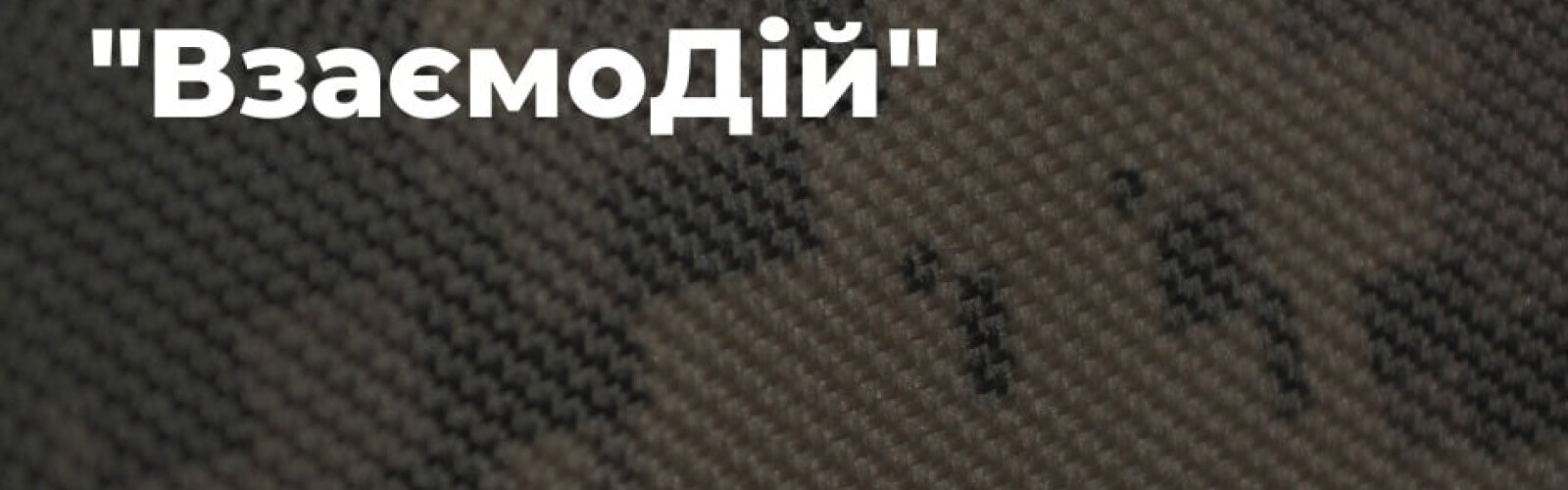 The Voznesensk Community Foundation opened the Interaction Special Fund: