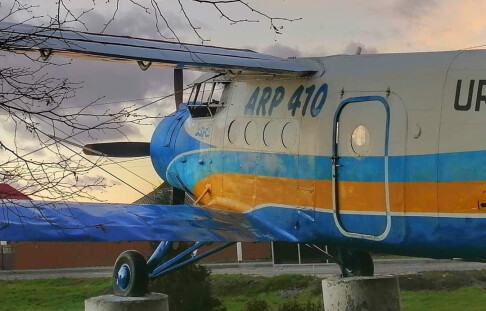 Spread your wings