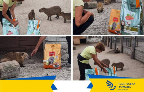 The Podilska Hromada Community Foundation continues to support animal shelters
