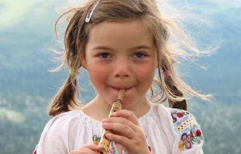 The Kharkiv Community Fund "Toloka" organized a collection of musical instruments