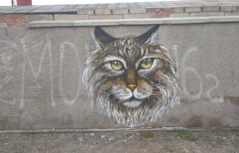 MBI Voznesenskaya teaches young people to paint murals